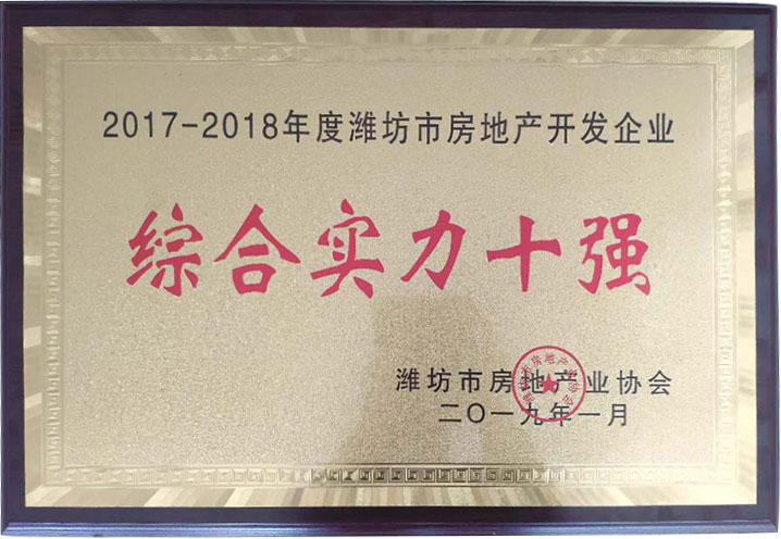 綜合實(shí)力十強(qiáng)
